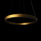ART-S-RING FLEX W114mm LED светильник подвесной кольцо   -  Подвесные светильники 